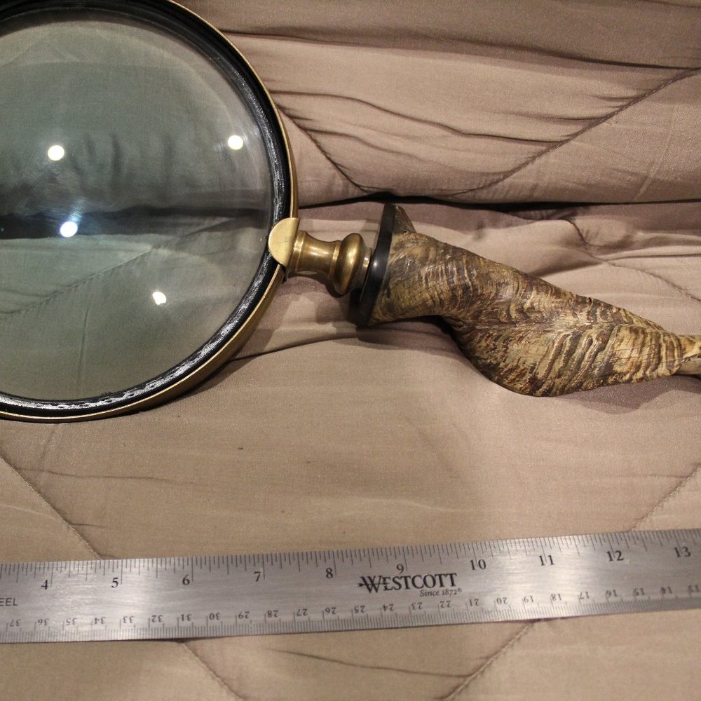Magnifying glass with horne